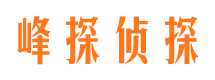 惠安市婚外情调查